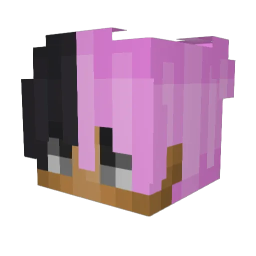 PotatoMuncher830 Minecraft avatar head, 3D render