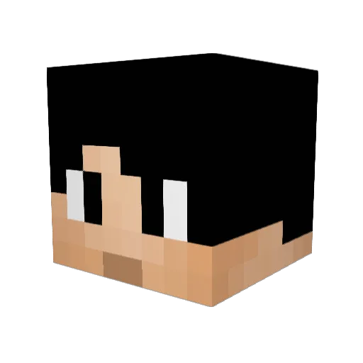 PotatoPlayerMC2 Minecraft avatar head, 3D render