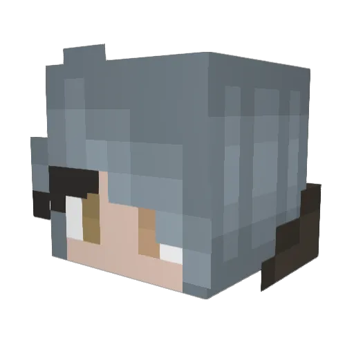 PotatoSarcasm Minecraft avatar head, 3D render