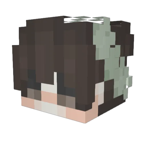 Potatonari Minecraft avatar head, 3D render