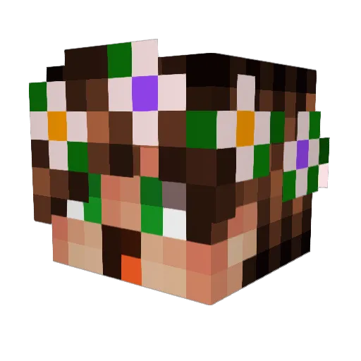 Potcat Minecraft avatar head, 3D render