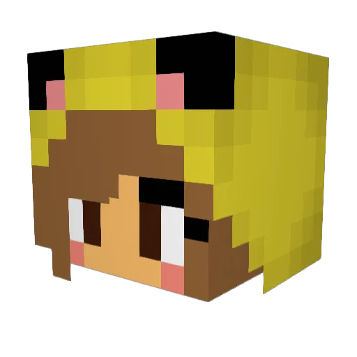 Pote3001 Minecraft avatar head, 3D render