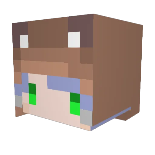 Potechi_Master Minecraft avatar head, 3D render