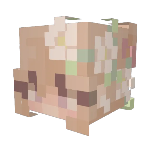 Poteend04 Minecraft avatar head, 3D render
