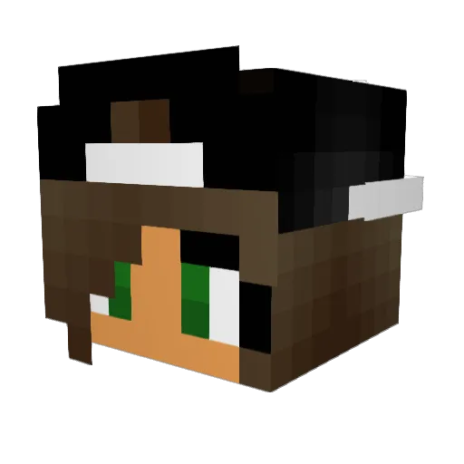 PotentialTech09 Minecraft avatar head, 3D render
