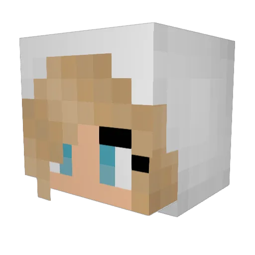 Poterusk Minecraft avatar head, 3D render