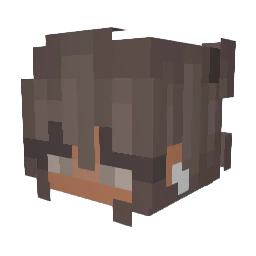 Potetsalat_ Minecraft avatar head, 3D render