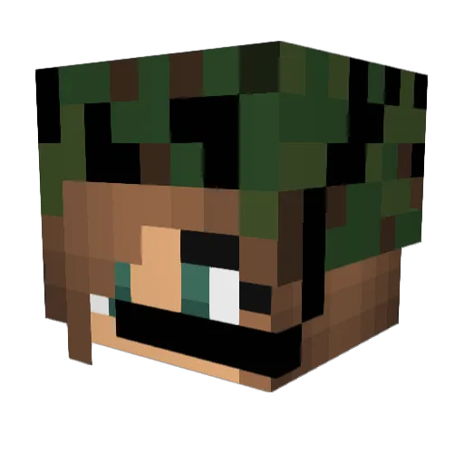 PotgrondFanDemi Minecraft avatar head, 3D render