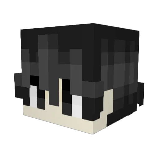 PotholedBike2 Minecraft avatar head, 3D render