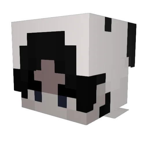Potion_merchant Minecraft avatar head, 3D render