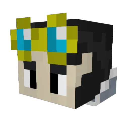 Potpt_ Minecraft avatar head, 3D render