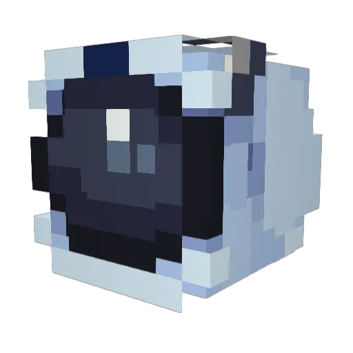 PotrancaDelMar Minecraft avatar head, 3D render