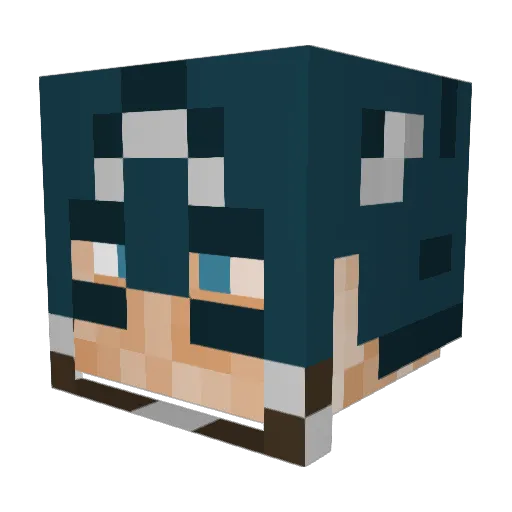 Potter100 Minecraft avatar head, 3D render
