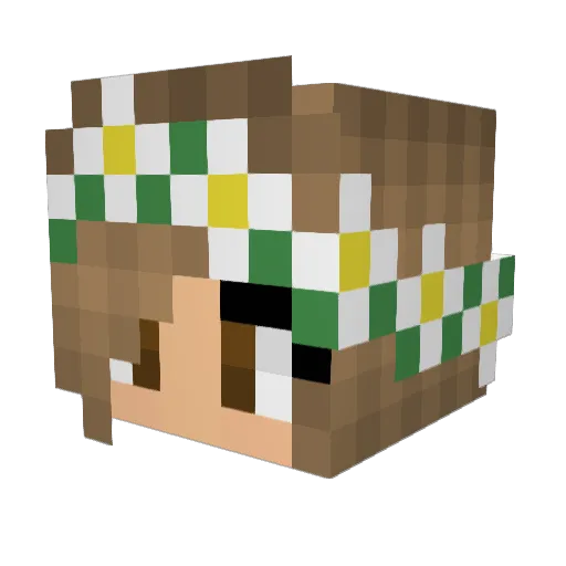 Pottercrafter27 Minecraft avatar head, 3D render