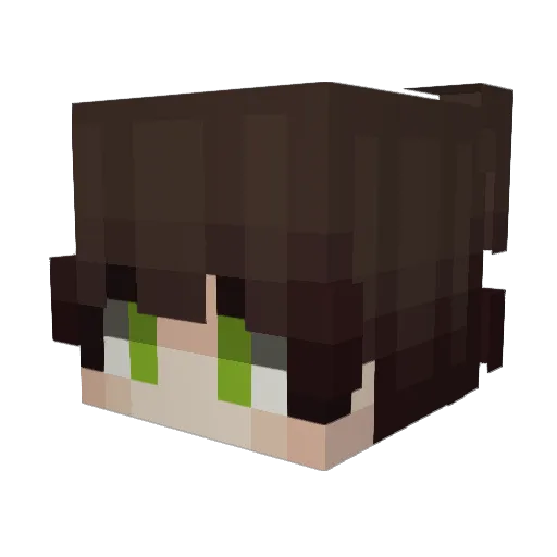 Pottone Minecraft avatar head, 3D render