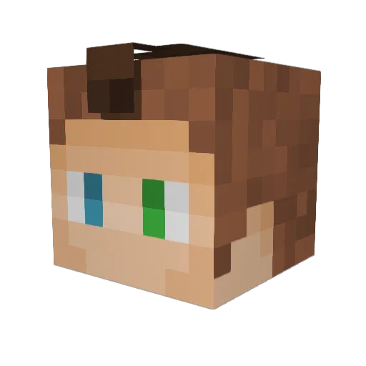 Pottsy5 Minecraft avatar head, 3D render