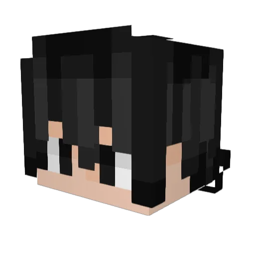Potty_Skibidi Minecraft avatar head, 3D render