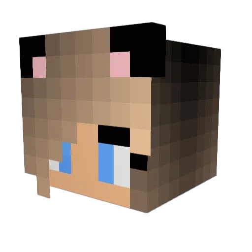 PotusV2 Minecraft avatar head, 3D render