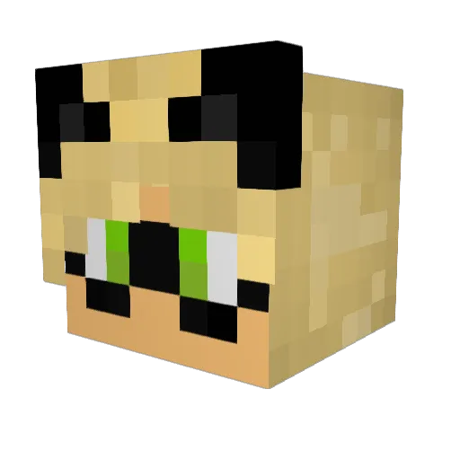 Pouceee Minecraft avatar head, 3D render