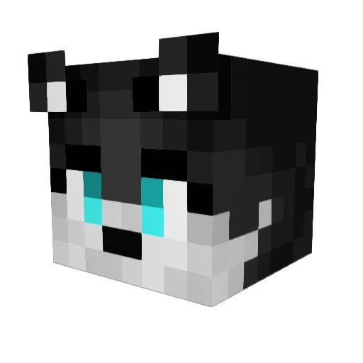 Pouchok Minecraft avatar head, 3D render