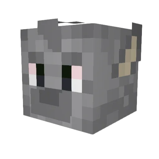 Pouchroo Minecraft avatar head, 3D render