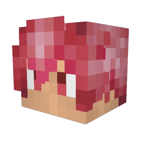 Poufsouffle Minecraft avatar head, 3D render