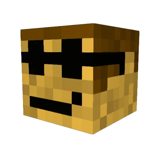 Poukinator Minecraft avatar head, 3D render