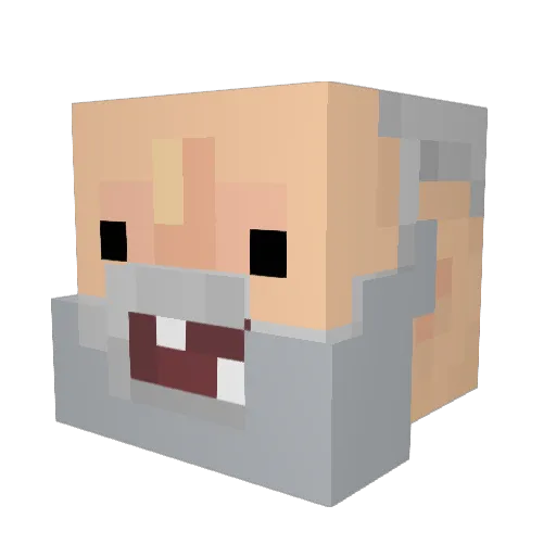 Poule_grille Minecraft avatar head, 3D render