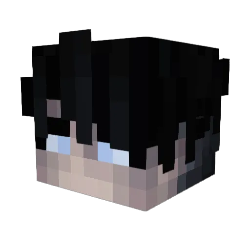 Poulet06 Minecraft avatar head, 3D render
