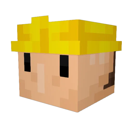 Poulsen2705 Minecraft avatar head, 3D render