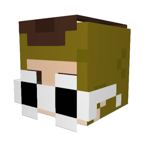 Poultongeist Minecraft avatar head, 3D render