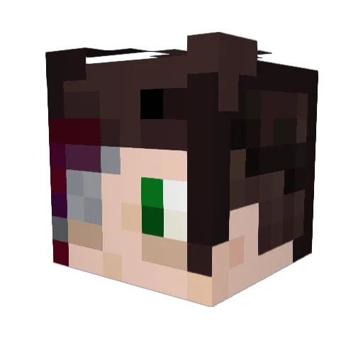 Minecraft-Avatar von PoultryBird: Kopf als 3D-Render