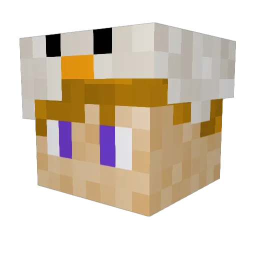 PoultryMan06 Minecraft avatar head, 3D render