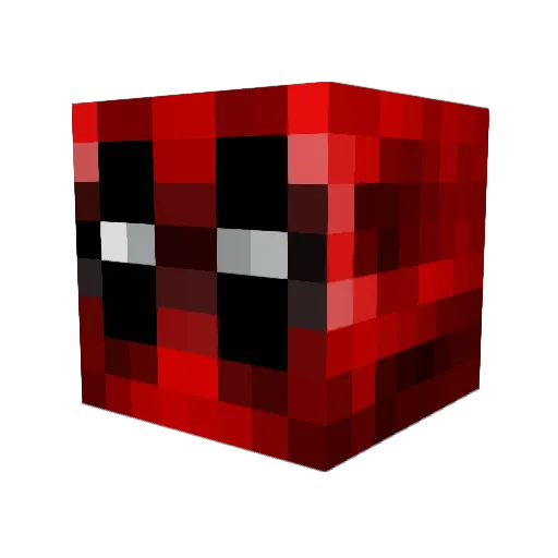 Pouncerpaw Minecraft avatar head, 3D render