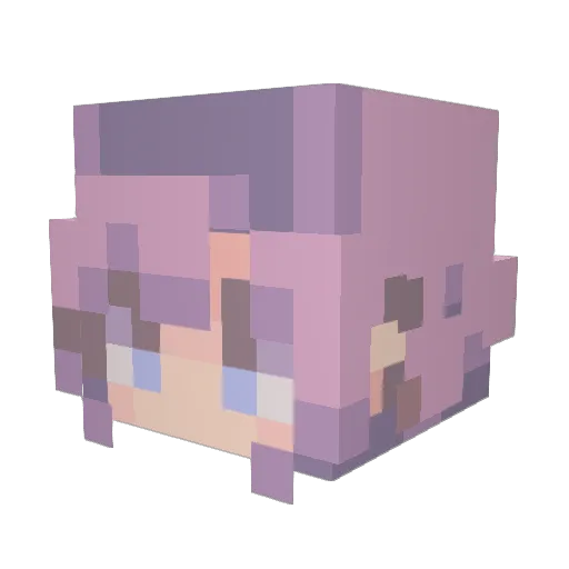 Pounddcakee Minecraft avatar head, 3D render