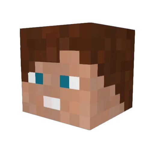 Poupi Minecraft avatar head, 3D render