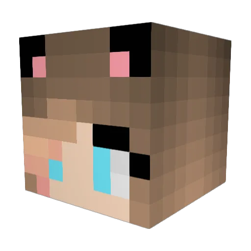 Poupoule6 Minecraft avatar head, 3D render