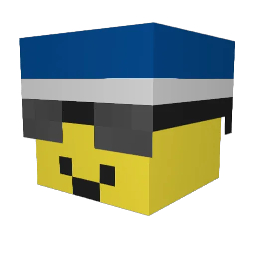 Pourte Minecraft avatar head, 3D render