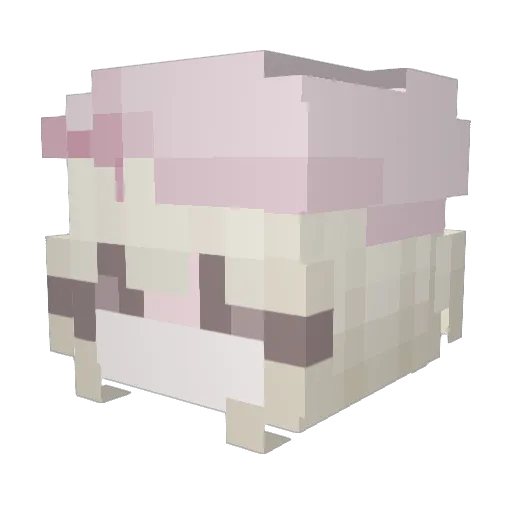 Pouttyy Minecraft avatar head, 3D render