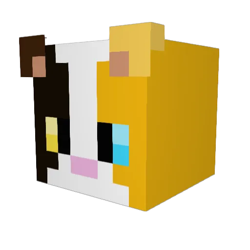 PovertyCat Minecraft avatar head, 3D render