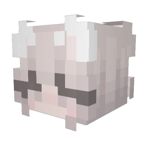 PowdaaVgk Minecraft avatar head, 3D render