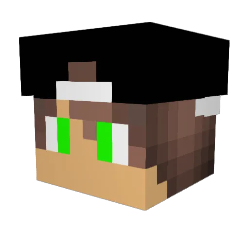 PowerCash020 Minecraft avatar head, 3D render