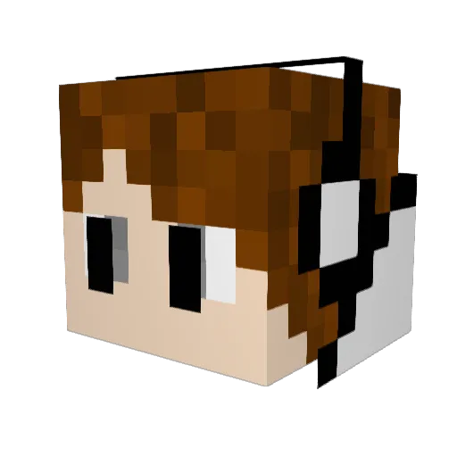 PowerGalaxy_YT Minecraft avatar head, 3D render