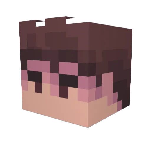 PoweredBySarcasm Minecraft avatar head, 3D render