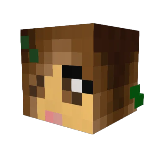 PowerfulSponge Minecraft avatar head, 3D render