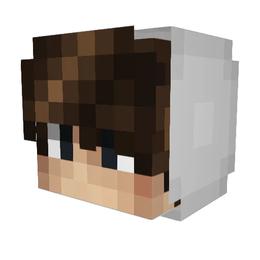 PowersPlayzMc Minecraft avatar head, 3D render