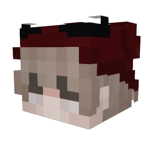 Powlo23 Minecraft avatar head, 3D render