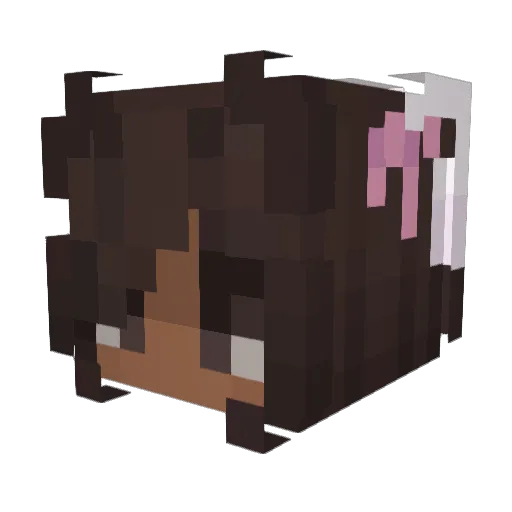 Powthaa Minecraft avatar head, 3D render
