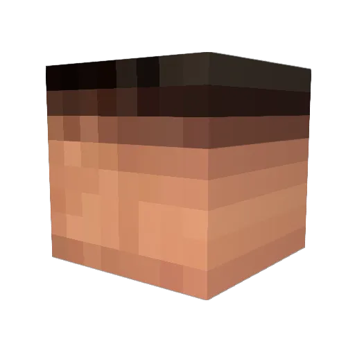 Poxalord Minecraft avatar head, 3D render