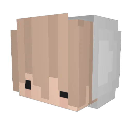 Poxano_ Minecraft avatar head, 3D render